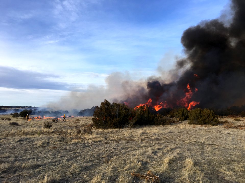 Prescribed Fire in Juniper-invaded Grassland, CO