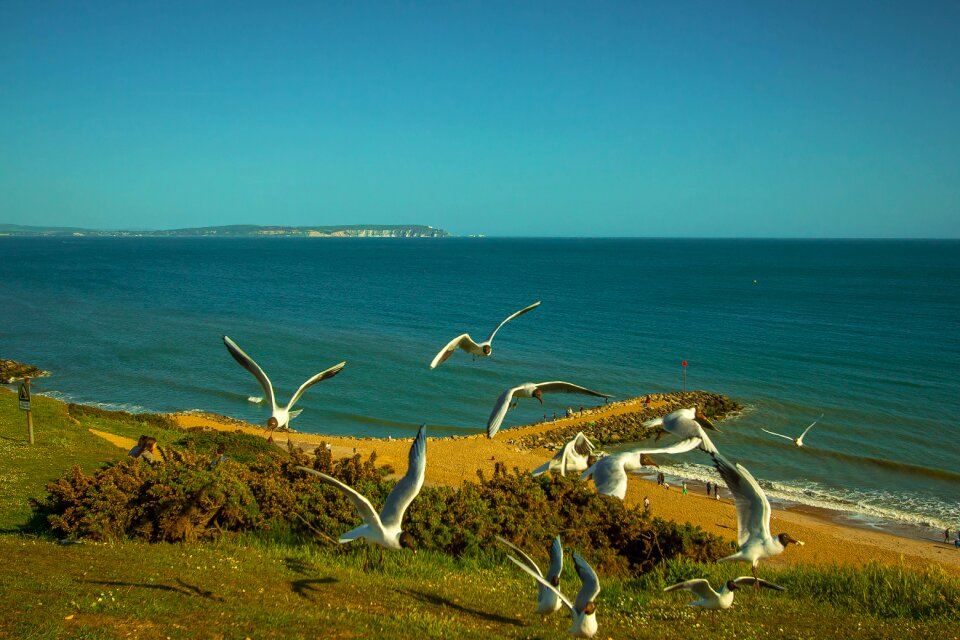 United states of america highcliffe horizon
