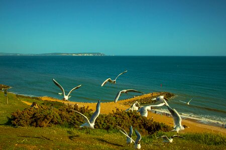 United states of america highcliffe horizon photo