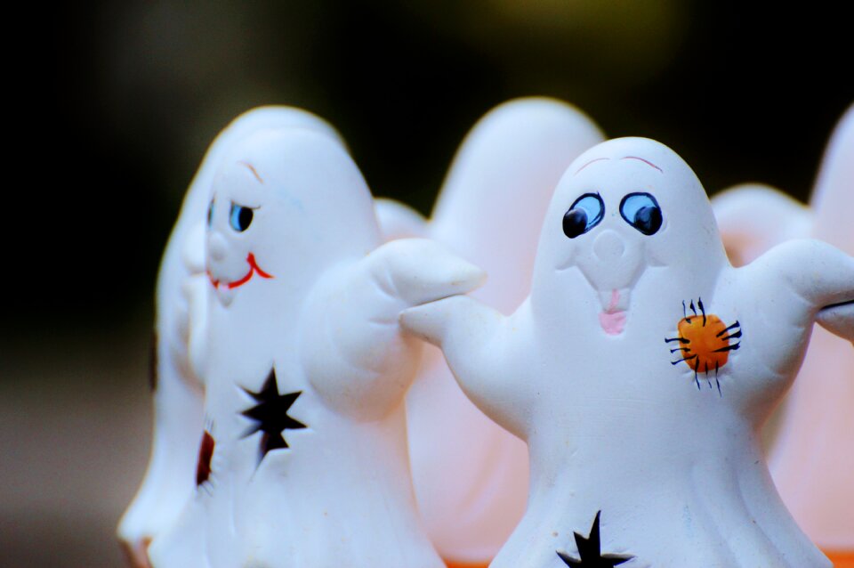 Group cute foraging haunting