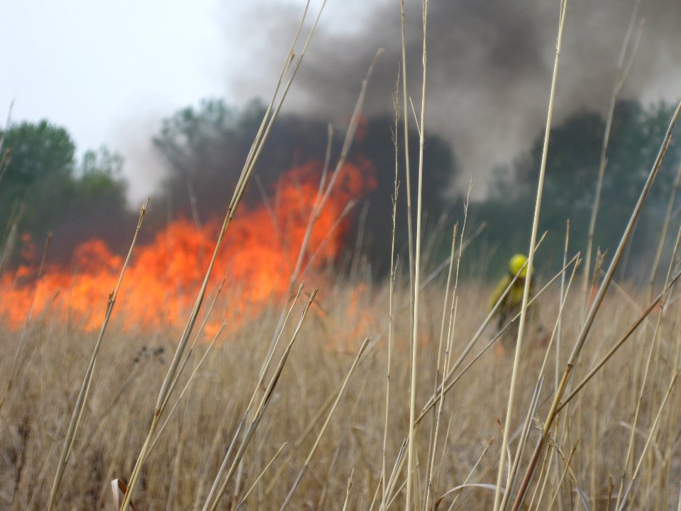 Iowa Tallgrass Prairie Prescribed Fire
