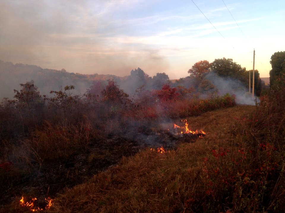 Prescribed Fire in Ozark Grasslands, MO