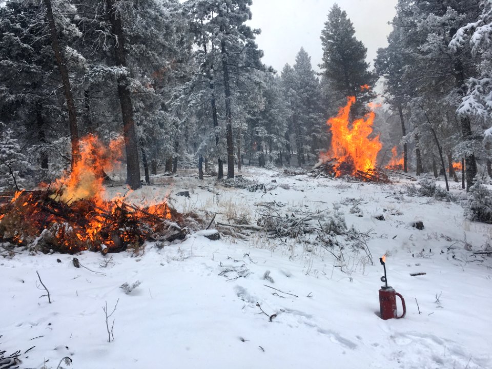 Pile Burns in Conifer, CO