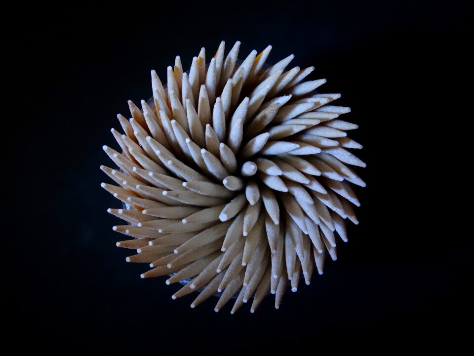 Pointed toothpick prickly