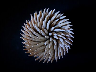 Pointed toothpick prickly