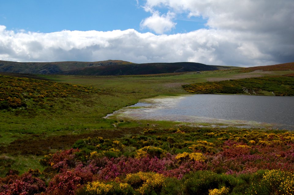 Laguna de Peces. Sanabria. España.