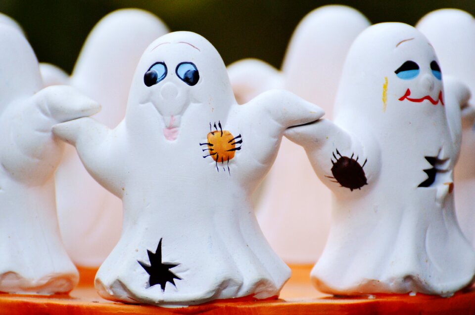 Group cute foraging haunting