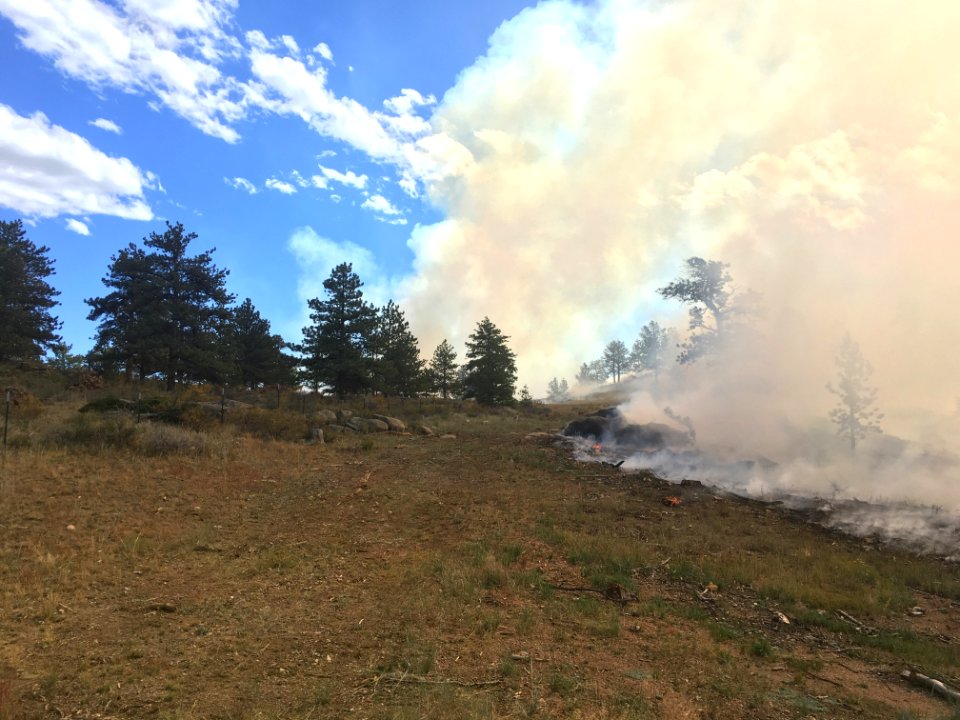 Prescribed Fire in Ponderosa Pine, Red Feather Lakes, CO