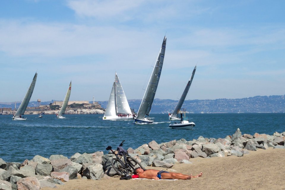 Sunning Under the Sails photo