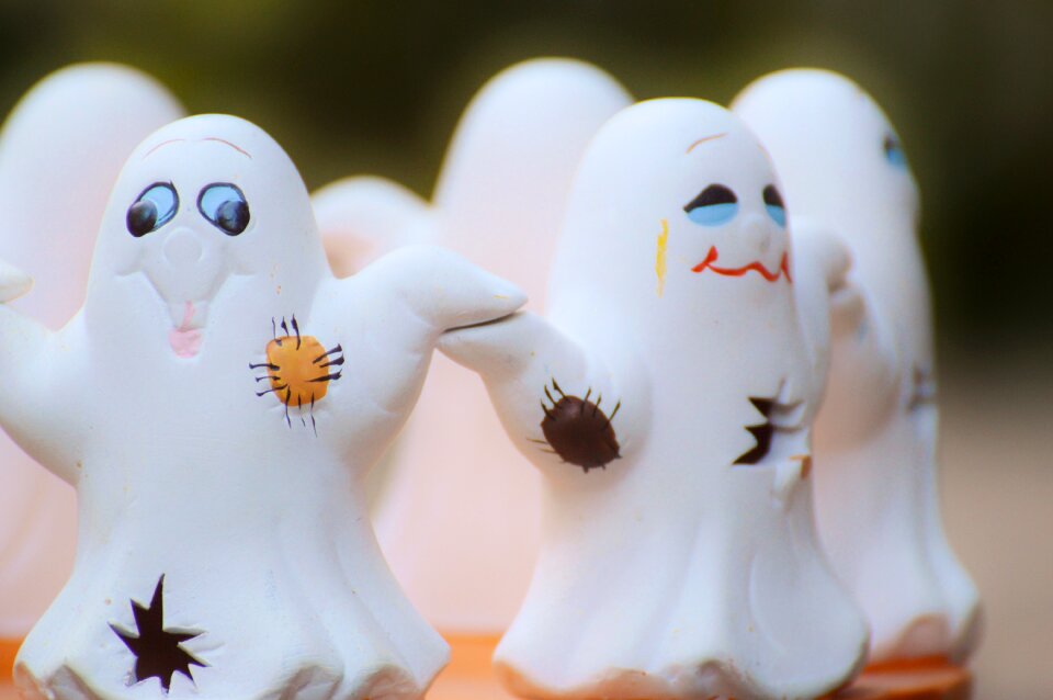 Group cute foraging haunting