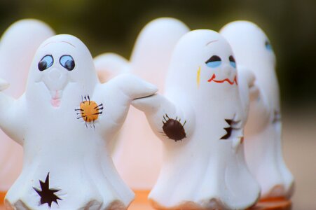 Group cute foraging haunting