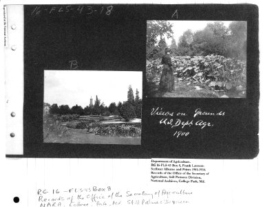 1900 Views on Grounds of USDA NARA II RG 16-FLS-43-18 Box 8