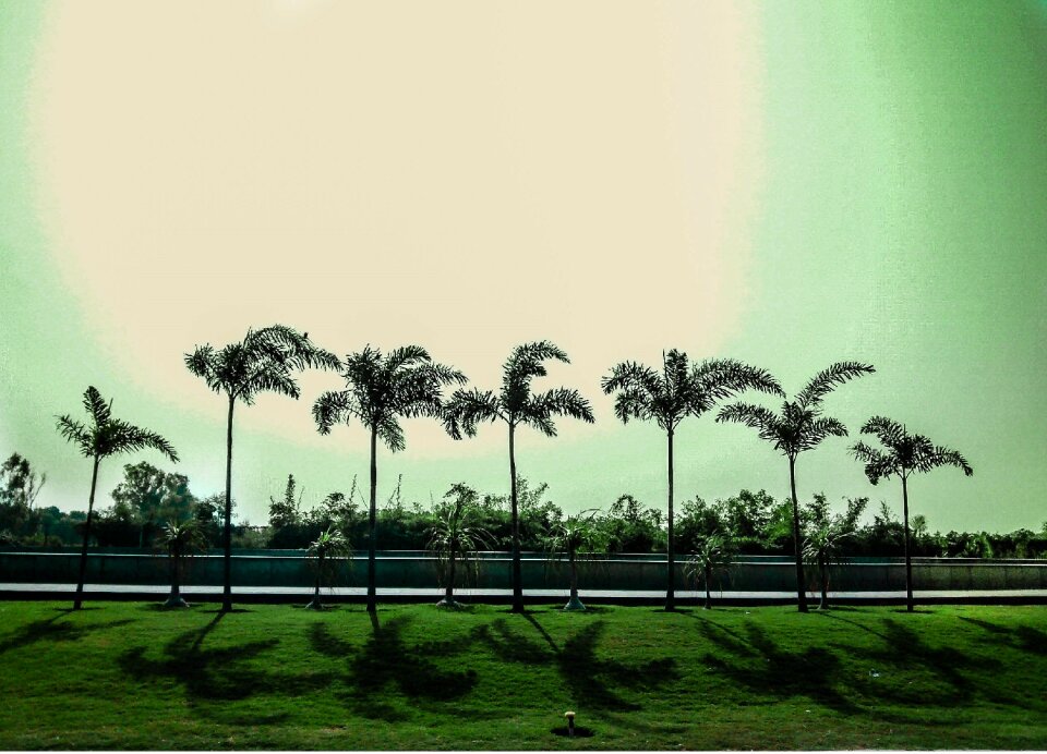Nature landscape sky