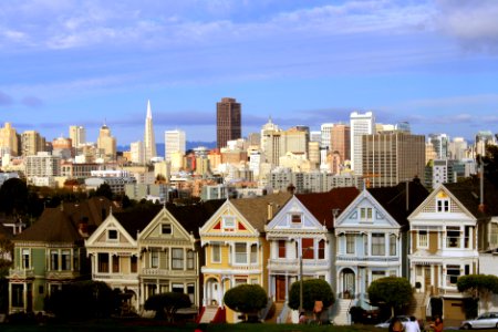 Painted Ladies photo