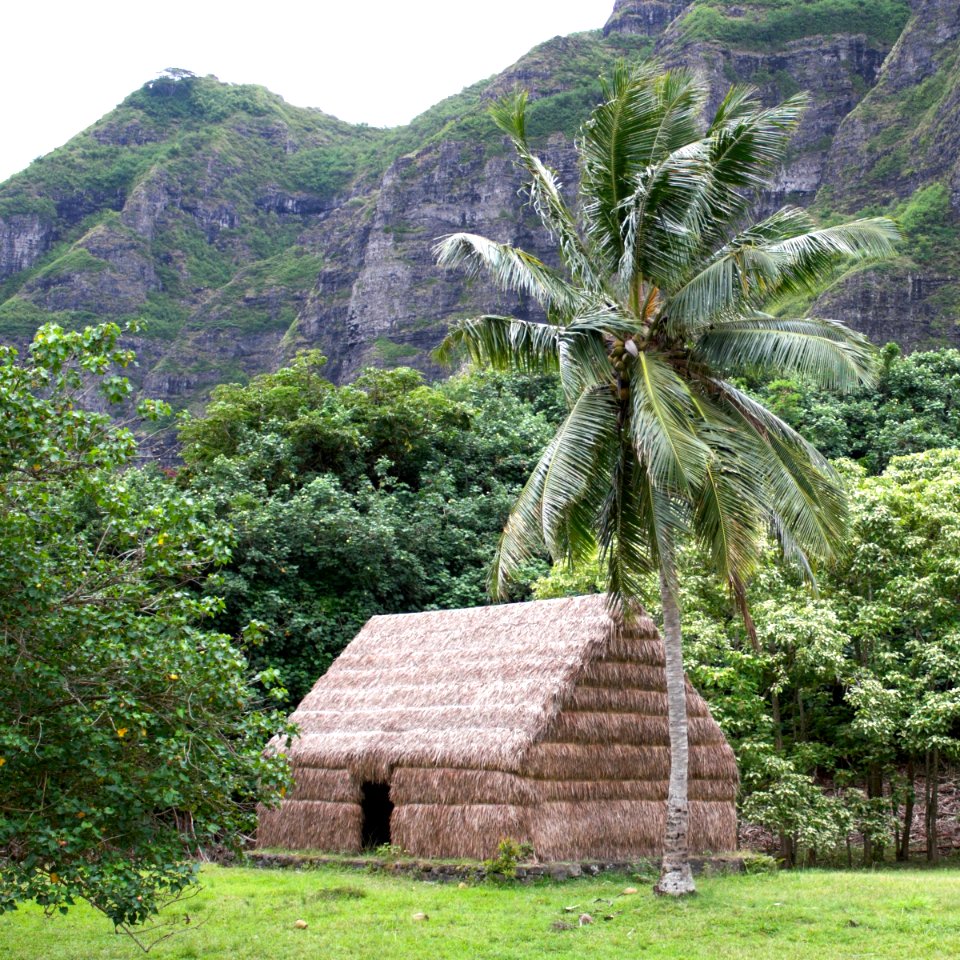 Hut at Kualoa Ranch