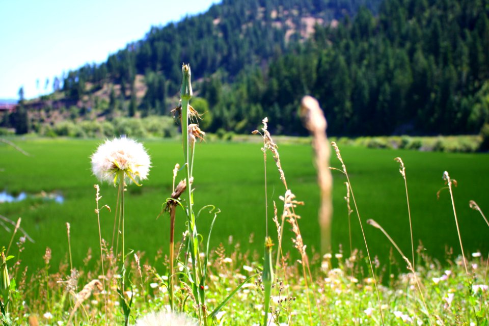Around Lake Coeur d'Alene