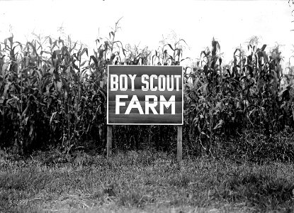 1917.boyscout.Harris Ewing.Shorpy