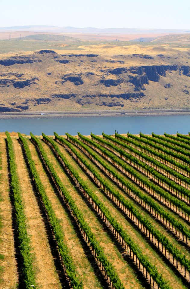 Maryhill Winery