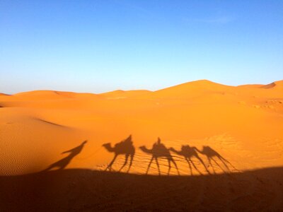 Desert dry africa