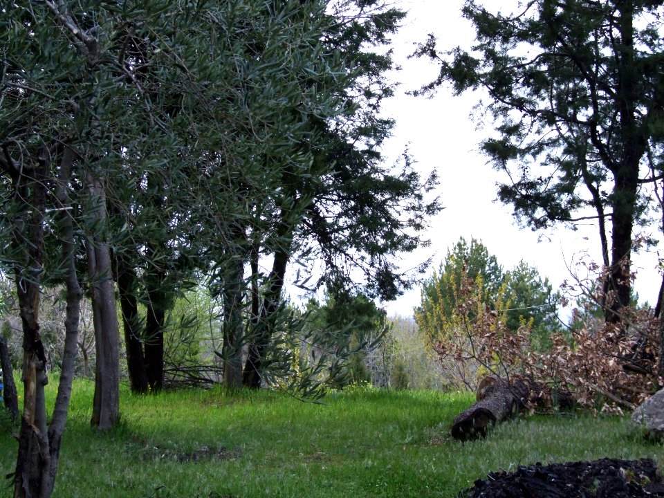 Linguaglossa-Etna-Volcano-Sicily-Italy - Creative Commons by gnuckx