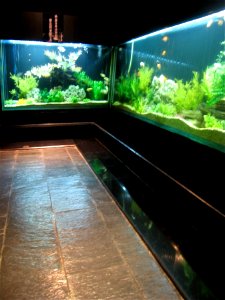 Over the Top Restroom