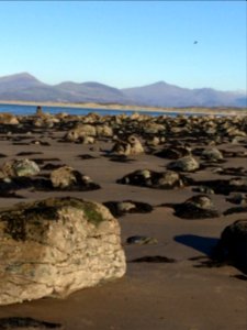 Llandanwg Beach, near Harlech