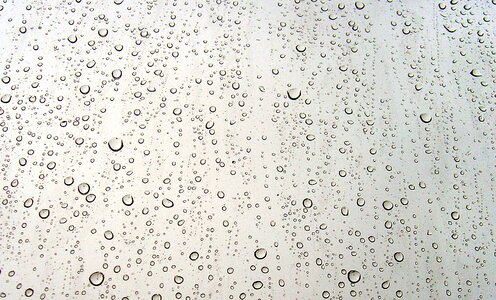 Drops of rain drop of water water photo