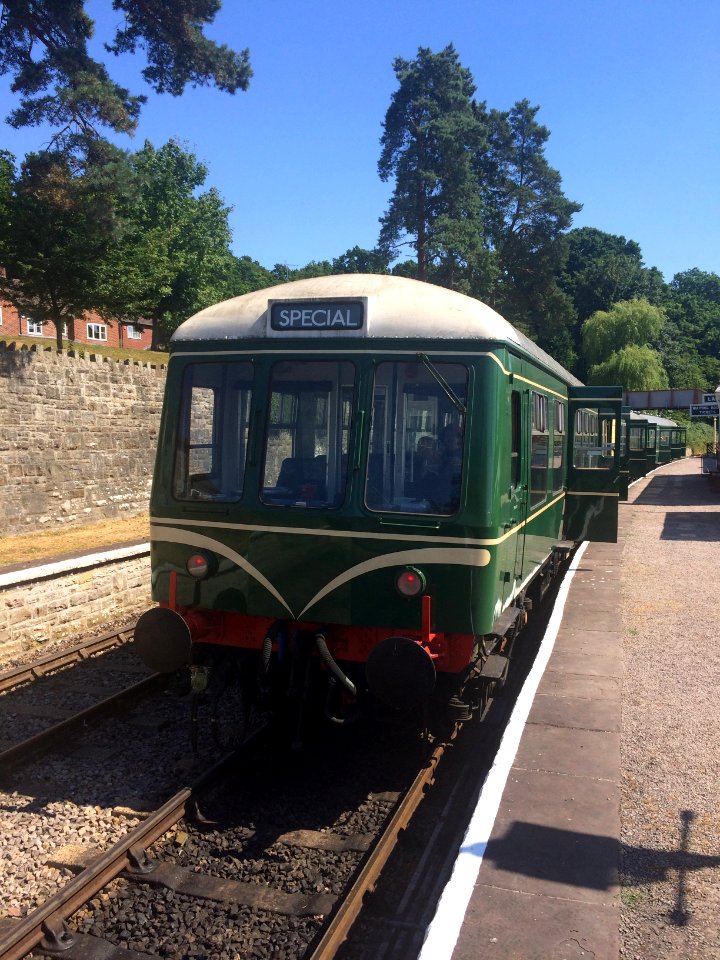 Diesel Train on Dean Forest Railway