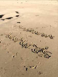 Llandanwg Beach, near Harlech