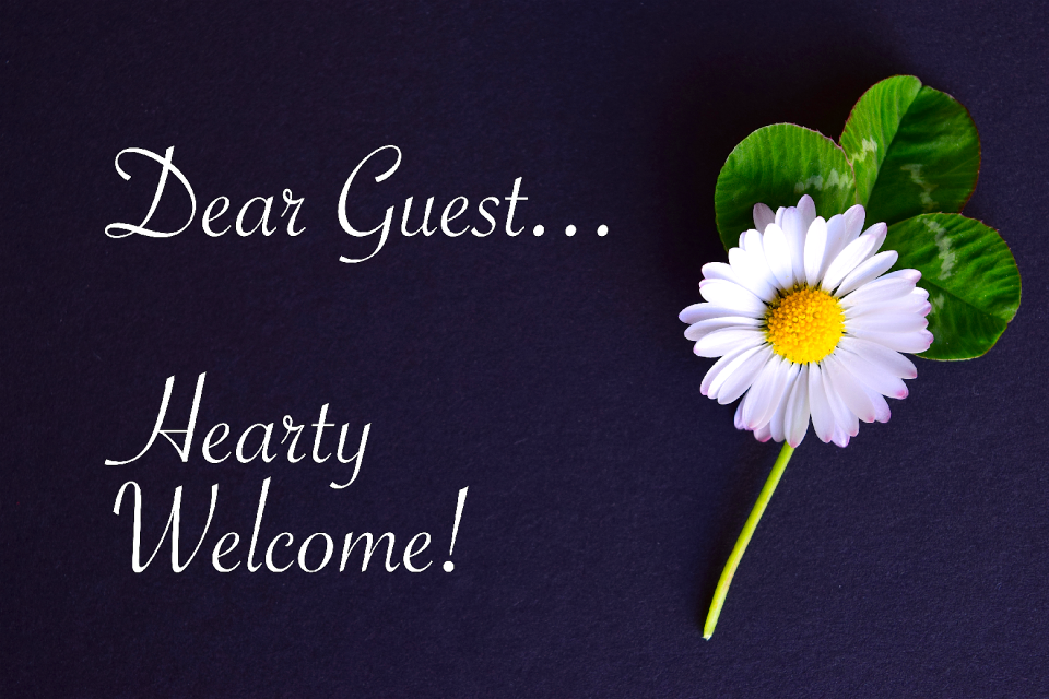 Guest geese flower four leaf clover