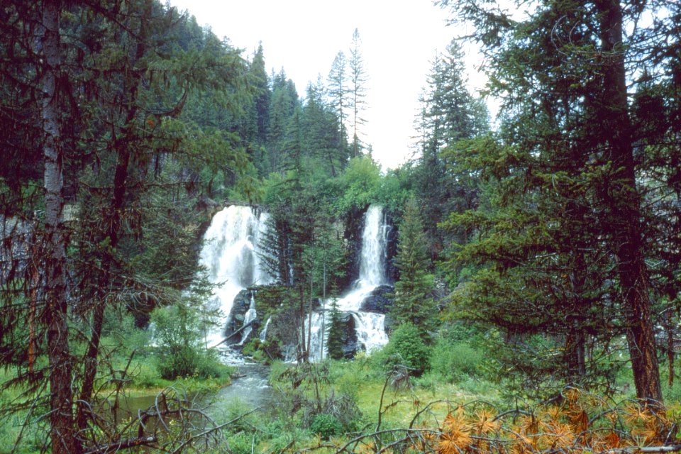 Riparian32.tif