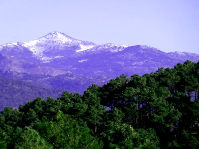 Montañas violáceas