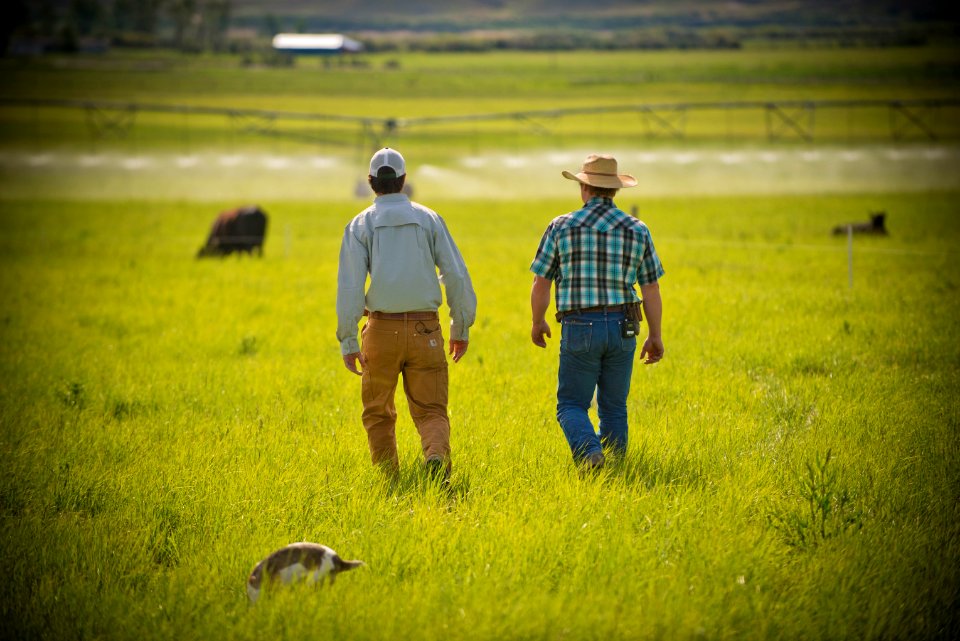 1364 NRCS projects