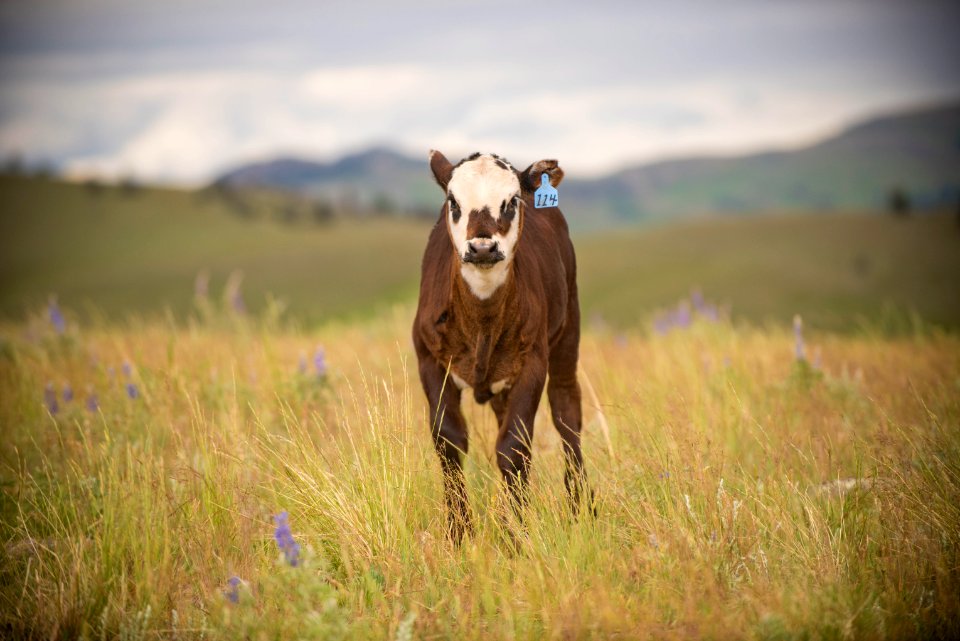 3481 NRCS projects