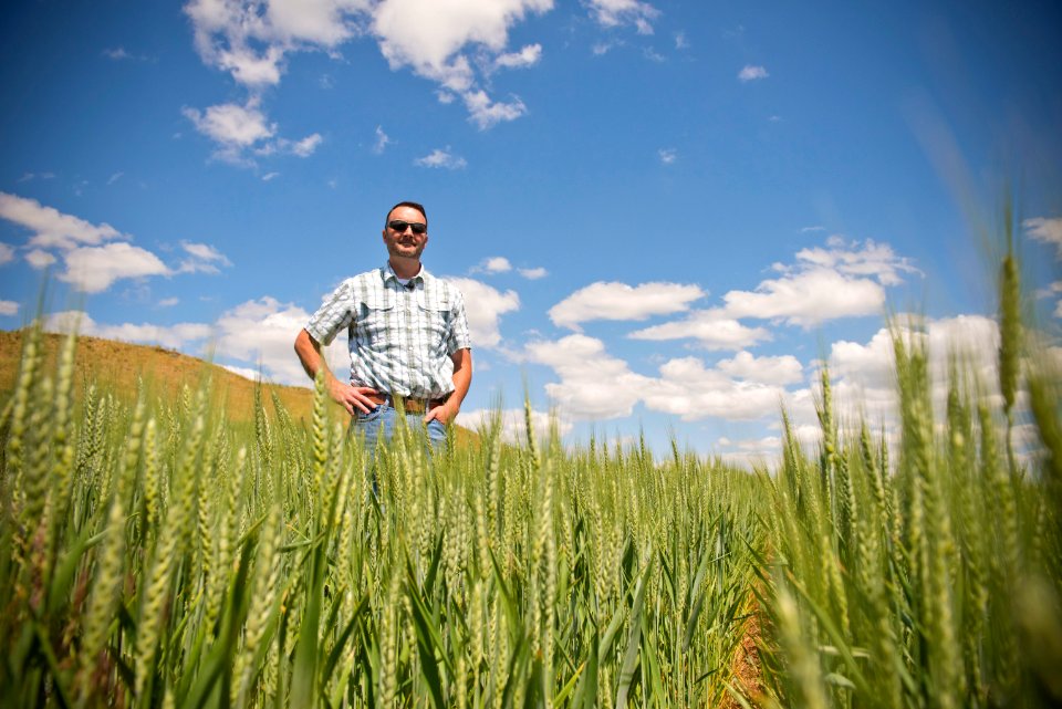 3092 NRCS projects