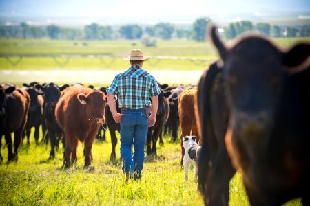 1216 NRCS projects