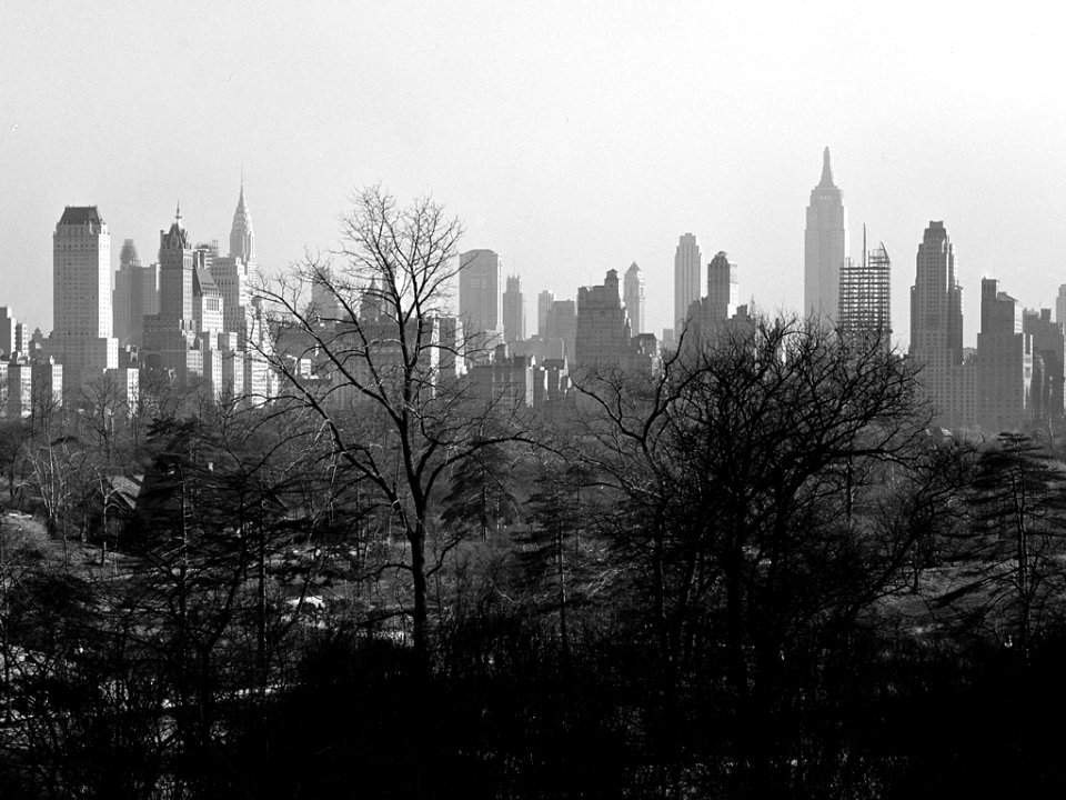 Samuel H. Gottscho - New York City views. Midtown skyline from Central Park at 85th Street. April 16, 1931.