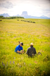 5277 NRCS projects