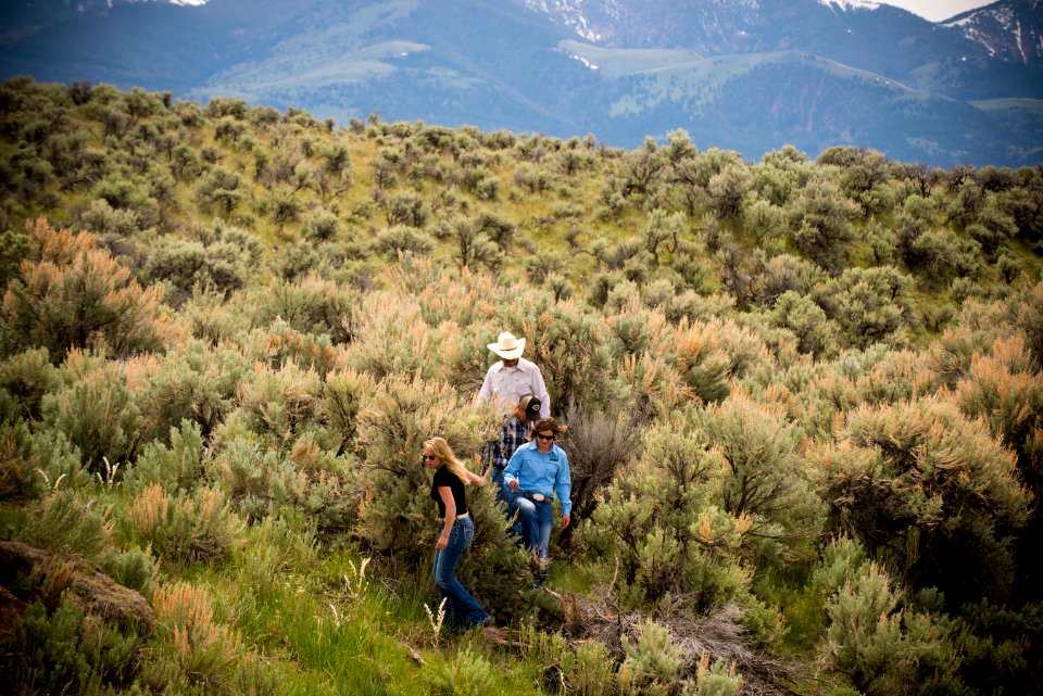1611 NRCS projects