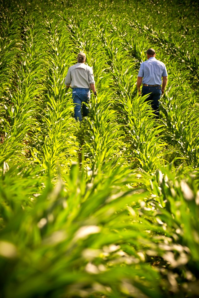 6605 NRCS projects.jpg