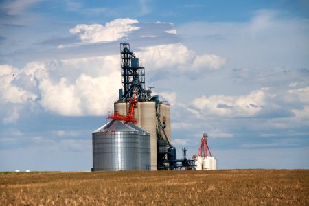 Got Silo?