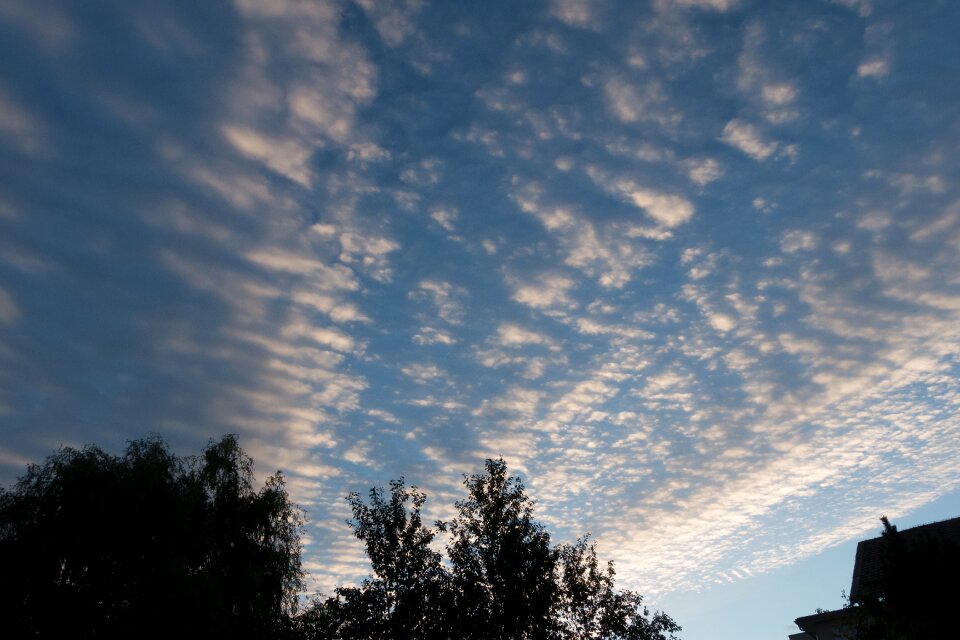 Skies morgenstimmung morning light photo