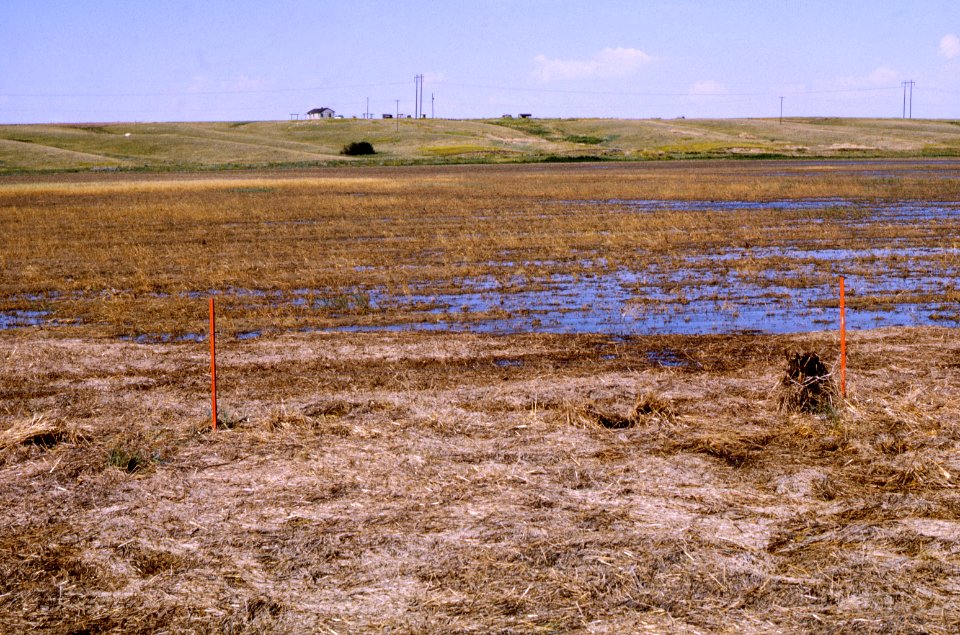 Floods79.tif