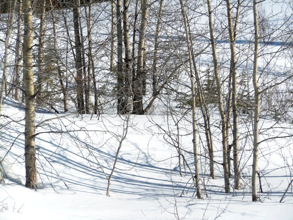 Snow003