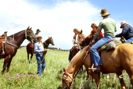 Rangeland56.tif