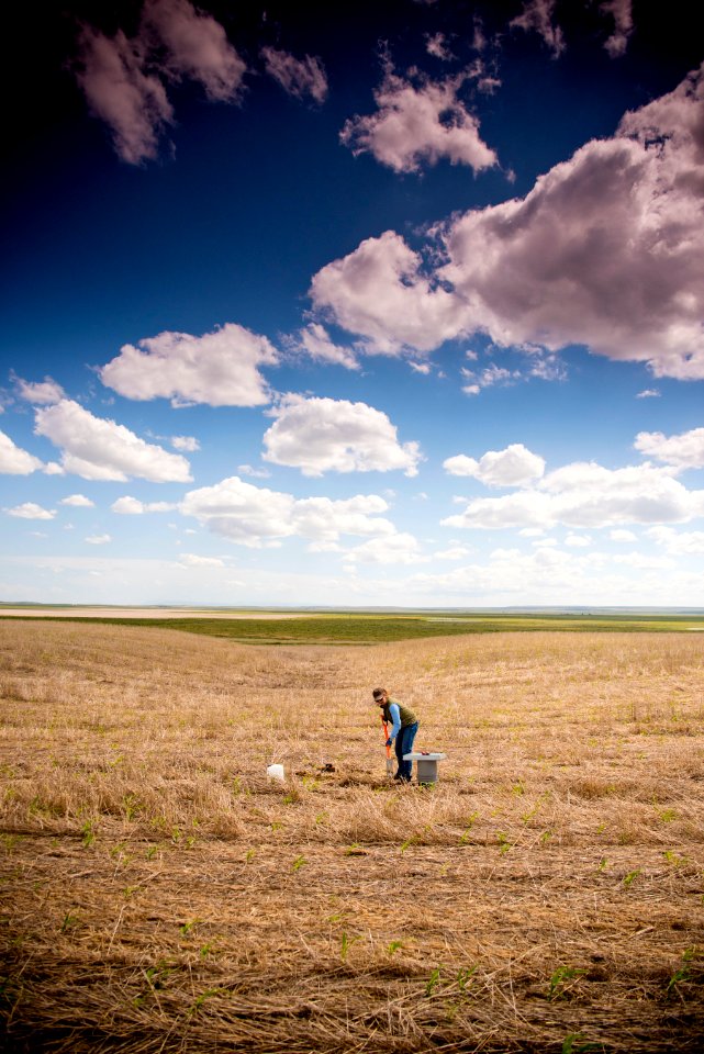 3110 NRCS projects