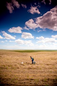 3110 NRCS projects