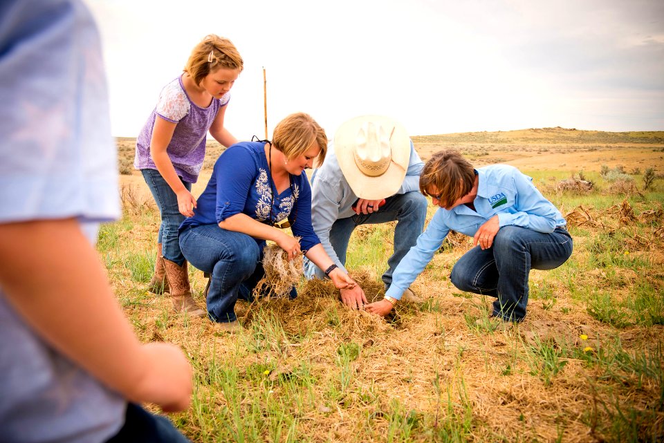 5569 NRCS projects.jpg