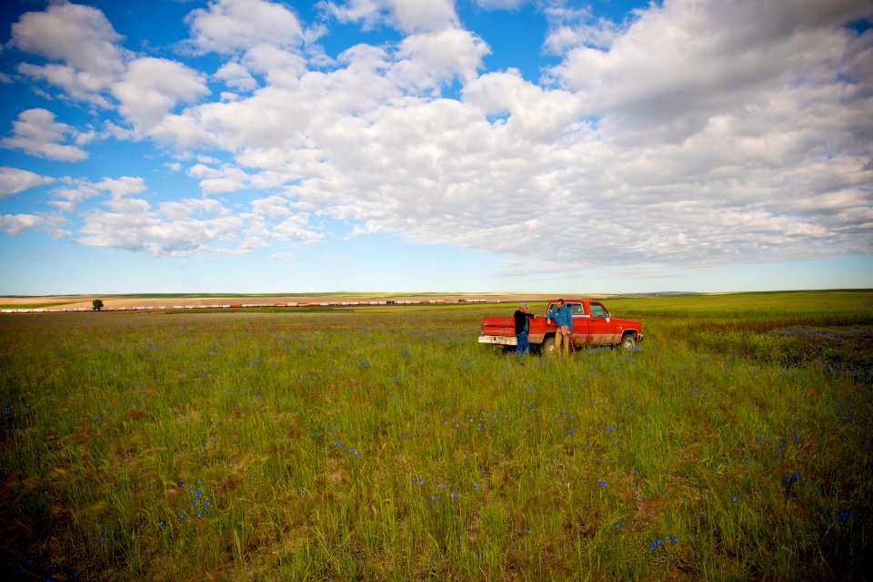 4946 NRCS projects