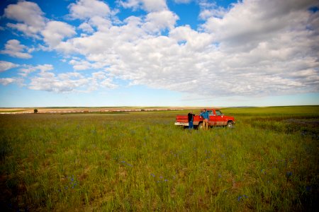 4946 NRCS projects